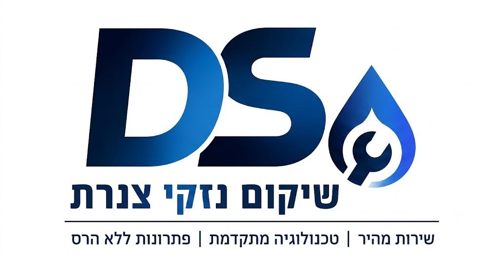הלוגו של DS Service